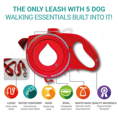 All-in-One Dog Leash